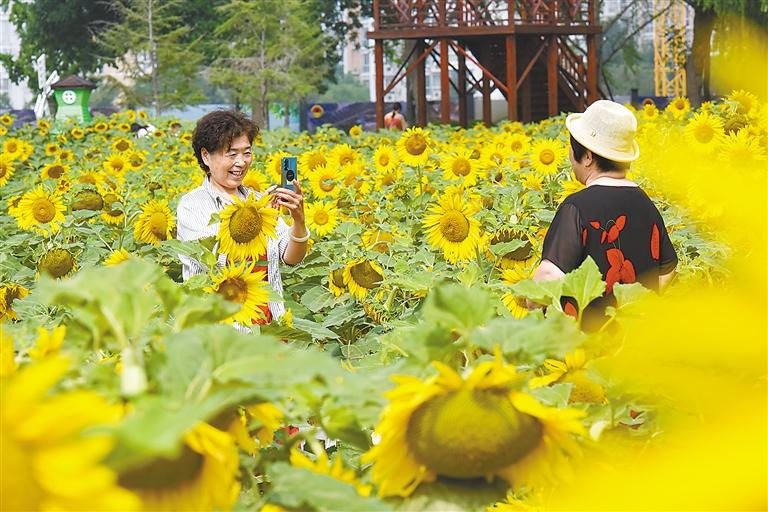 202307061216466214.jpg 202307061216466214.jpg