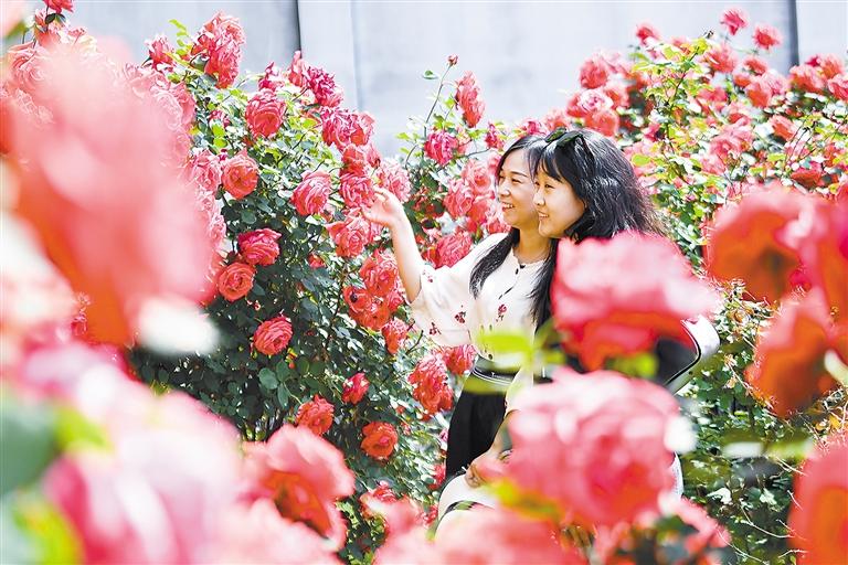 202307061222568762.jpg 202307061222568762.jpg