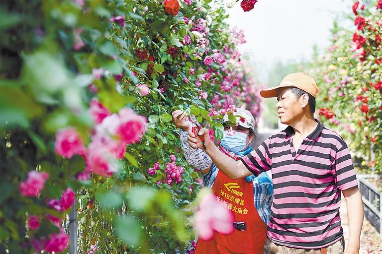 202307061219479863.jpg 202307061219479863.jpg